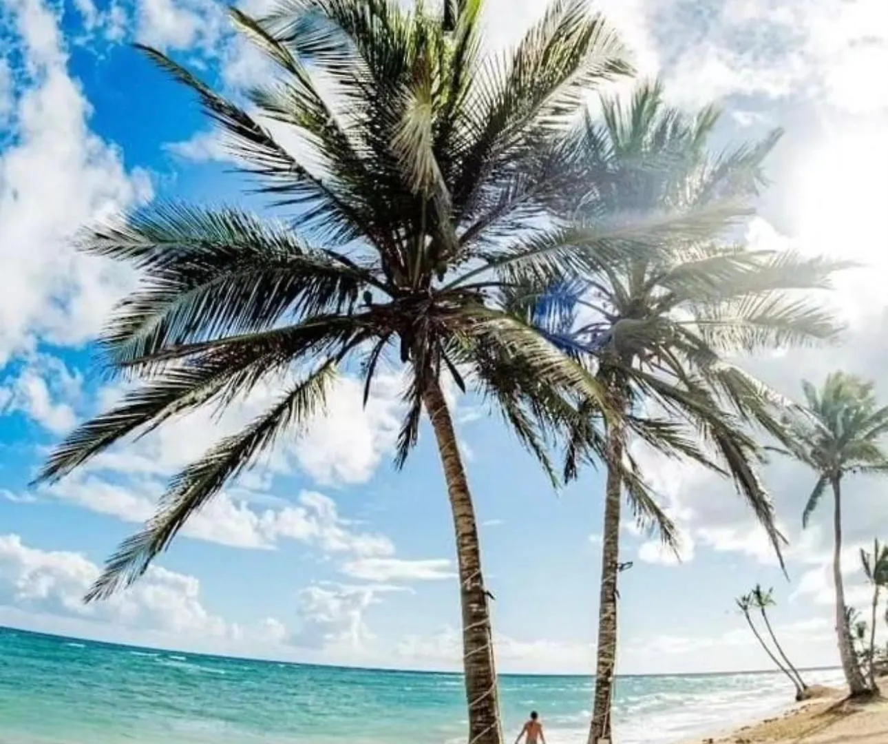 Exclusive Villa * Private Beach And Housekeeping Punta Cana