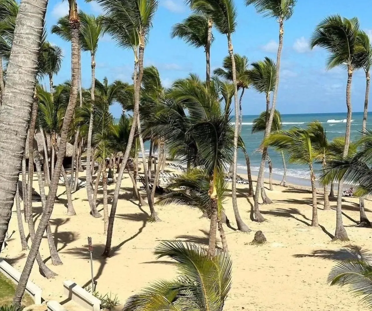 Exclusive Villa * Private Beach And Housekeeping Punta Cana 0*,  Dominik Cumhuriyeti